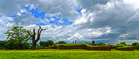 প্রকৃতির বুকে ঐতিহাসিক ময়নামতি শালবন বিহা্র