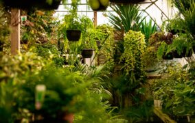 প্রকৃতি বান্ধব ব্যবসা